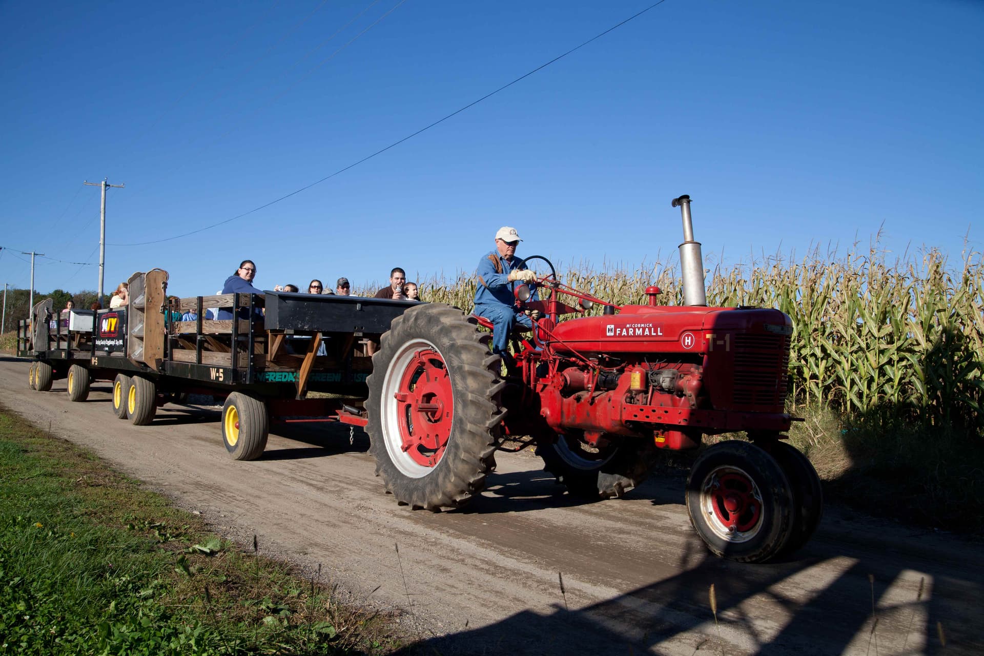A vintage red tractor pulling wagons full of guests on a hayride past the cornfield
