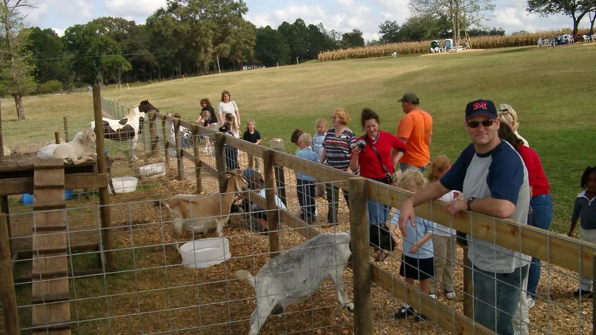 Families leaning on the barnyard fence to see the goats and sheep