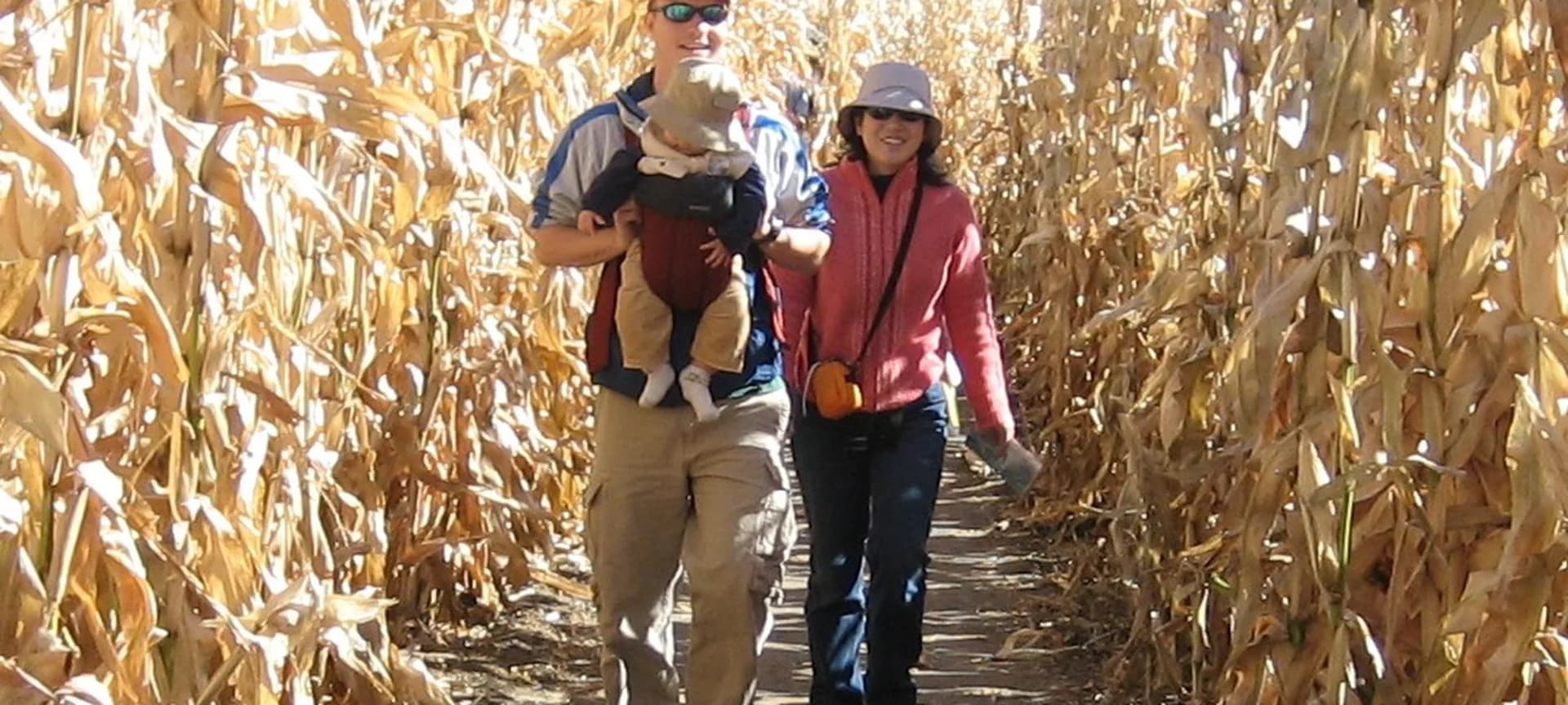 A family walking the sunlit path between tall rows of the Confreda corn maze